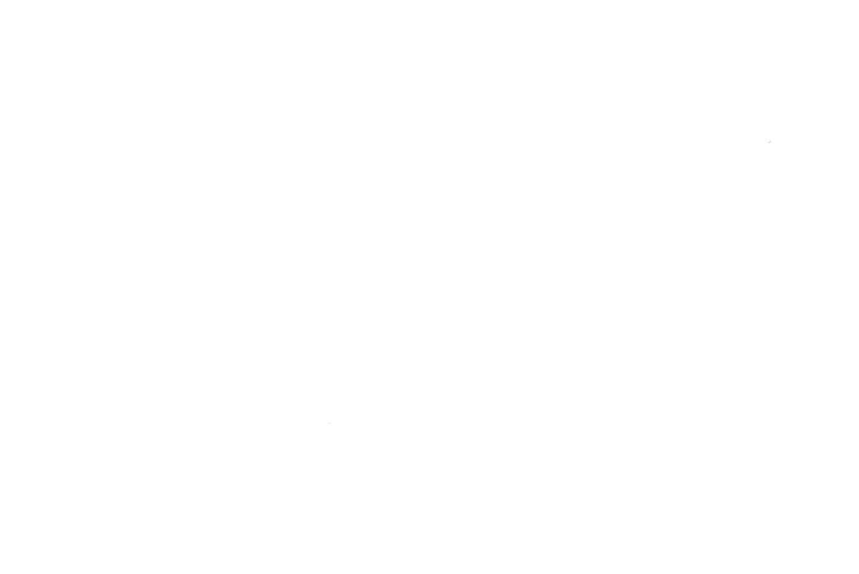 DJ ZBRX Logo